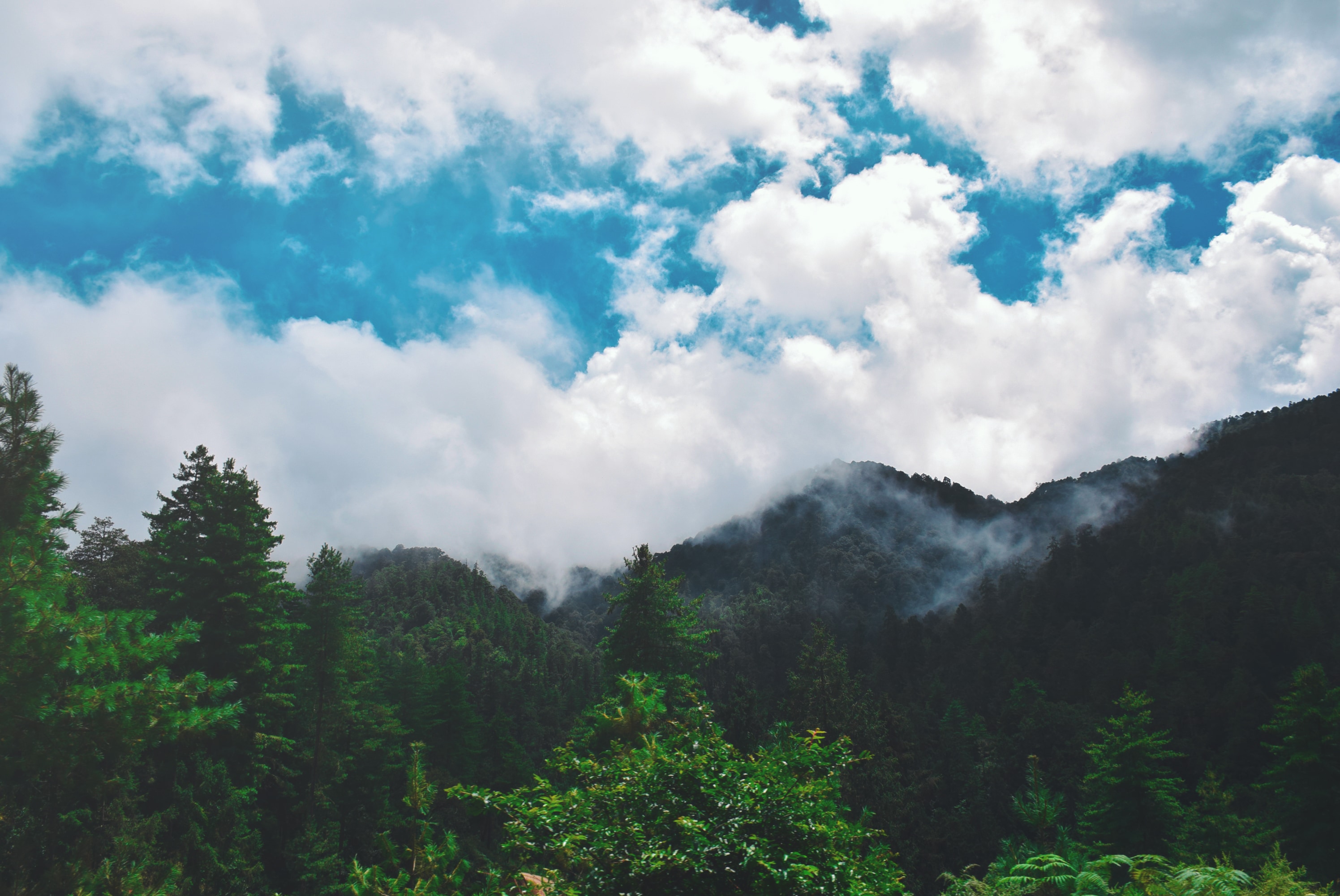 Clouds gathering over a forested mountain